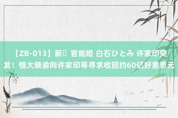 【ZB-013】新・官能姫 白石ひとみ 许家印突发！恒大晓谕向许家印等寻求收回约60亿好意思元