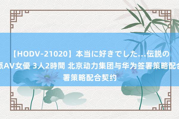 【HODV-21020】本当に好きでした…伝説の清純派AV女優 3人2時間 北京动力集团与华为签署策略配合契约