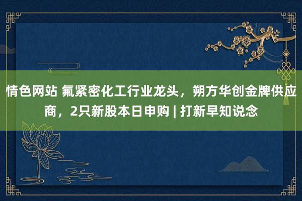 情色网站 氟紧密化工行业龙头，朔方华创金牌供应商，2只新股本日申购 | 打新早知说念