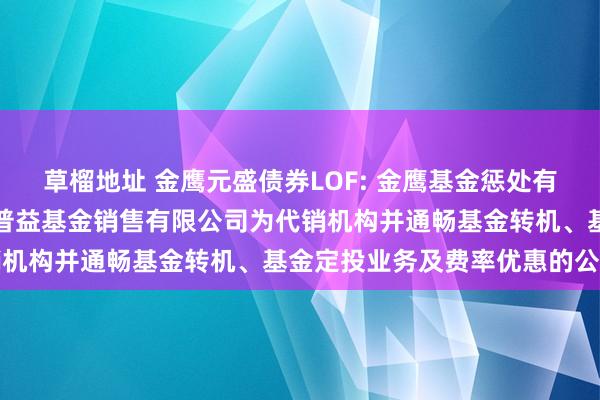 草榴地址 金鹰元盛债券LOF: 金鹰基金惩处有限公司部分基金新增泛华普益基金销售有限公司为代销机构并通畅基金转机、基金定投业务及费率优惠的公告