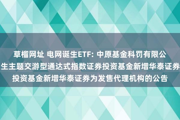 草榴网址 电网诞生ETF: 中原基金科罚有限公司对于中原中证电网诞生主题交游型通达式指数证券投资基金新增华泰证券为发售代理机构的公告