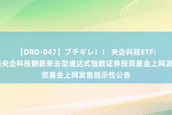 【DRD-047】ブチギレ！！ 央企科技ETF: 融通中证诚通央企科技翻新来去型通达式指数证券投资基金上网发售指示性公告