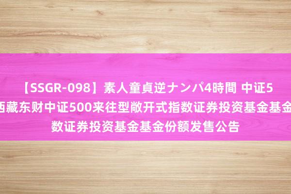 【SSGR-098】素人童貞逆ナンパ4時間 中证500ETF基金: 西藏东财中证500来往型敞开式指数证券投资基金基金份额发售公告