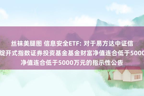 丝袜美腿图 信息安全ETF: 对于易方达中证信息安全主题往来型绽开式指数证券投资基金基金财富净值连合低于5000万元的指示性公告