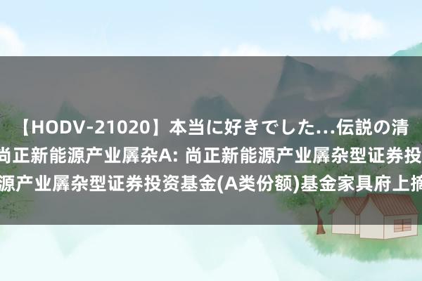 【HODV-21020】本当に好きでした…伝説の清純派AV女優 3人2時間 尚正新能源产业羼杂A: 尚正新能源产业羼杂型证券投资基金(A类份额)基金家具府上摘录(更新)