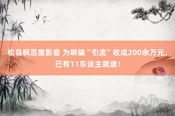 松岛枫百度影音 为哄骗“引流”收成200余万元，已有11东谈主就逮！