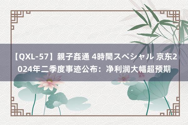 【QXL-57】親子姦通 4時間スペシャル 京东2024年二季度事迹公布：净利润大幅超预期