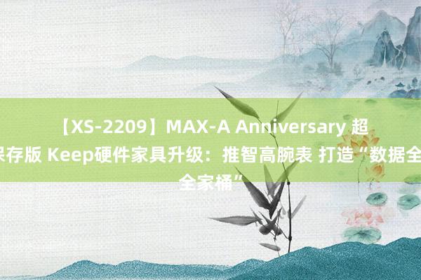 【XS-2209】MAX-A Anniversary 超永久保存版 Keep硬件家具升级：推智高腕表 打造“数据全家桶”