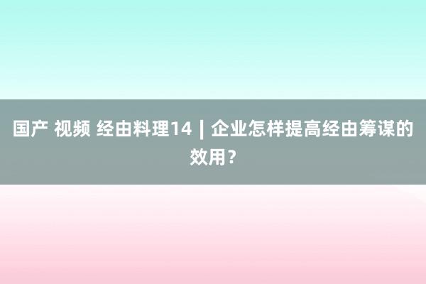 国产 视频 经由料理14∣企业怎样提高经由筹谋的效用？